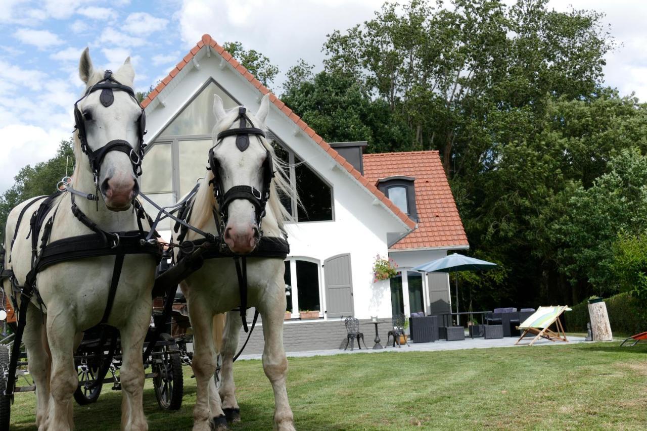 La Garonde Bed & Breakfast Boeschepe Екстериор снимка